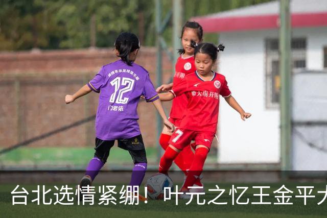 台北选情紧绷！叶元之忆王金平大罢免最后一周示警“只有你危险”
